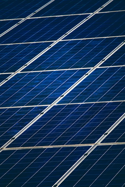 Solar Panels: Your Passport to Sustainable Living